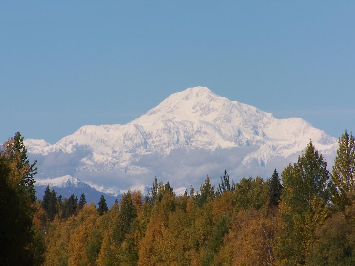 Denali Primrose Bed & Breakfast 힐리 외부 사진